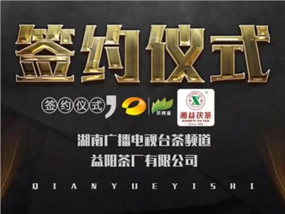 湘益茯，美茗揚 丨湘益茯茶與茶頻道達成長(cháng)期戰略合作