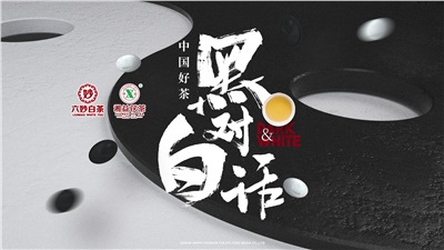 首屆黑白對話(huà)高峰論壇圓滿(mǎn)落幕！湘益茯茶備受關(guān)注！