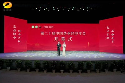 【聚焦第二十屆中國茶業(yè)經(jīng)濟年會(huì )】益陽(yáng)茶廠(chǎng)榮獲“民族團結互助企業(yè)”、“2024年度茶業(yè)重點(diǎn)企業(yè)”榮譽(yù)稱(chēng)號