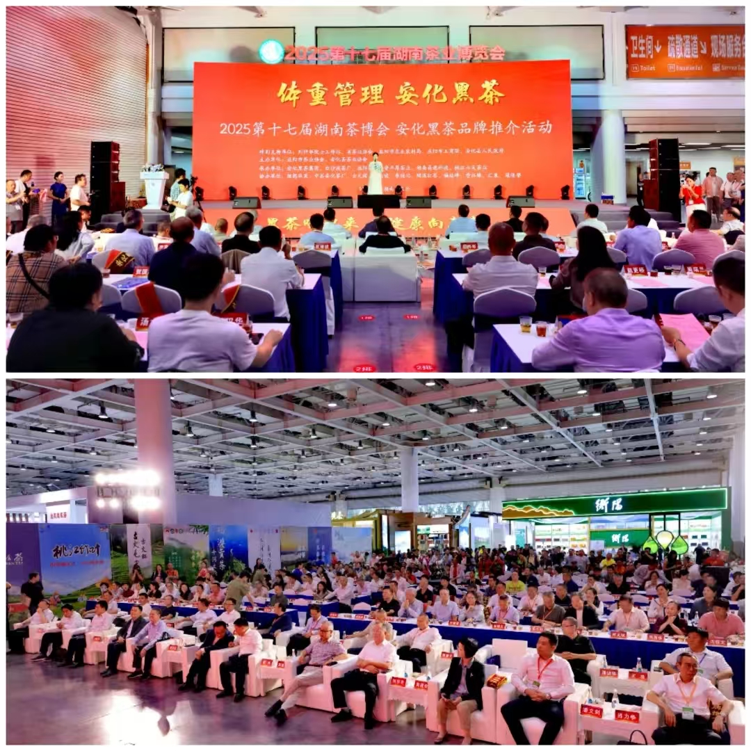 破局邊銷(xiāo)二十載，開(kāi)啟茯茶新紀元——湘益茯茶“紀廿”新品璀璨發(fā)布